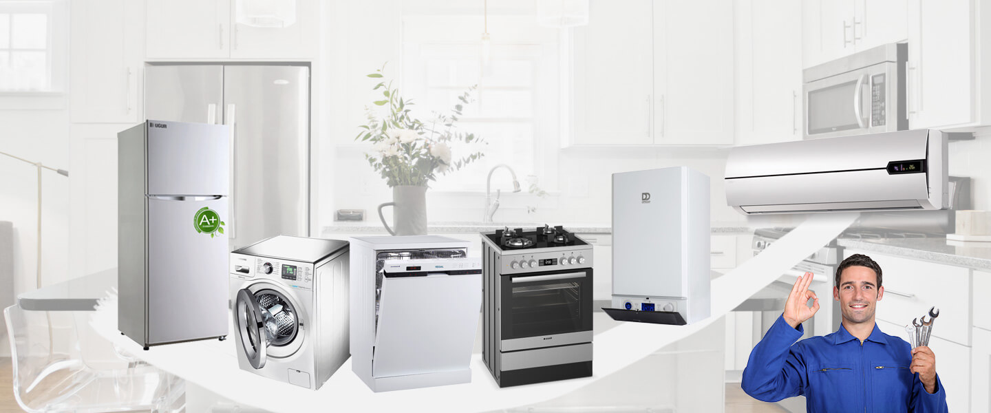 Aydıntepe Grundig Servisi